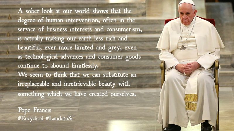 Alle radici della crisi ambientale. Riflessioni in margine all’Enciclica «Laudato si’. Sulla cura della casa comune»