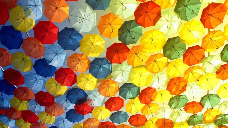 Civismo e solidarietà: vera forza dell’Emilia, e dell’Italia