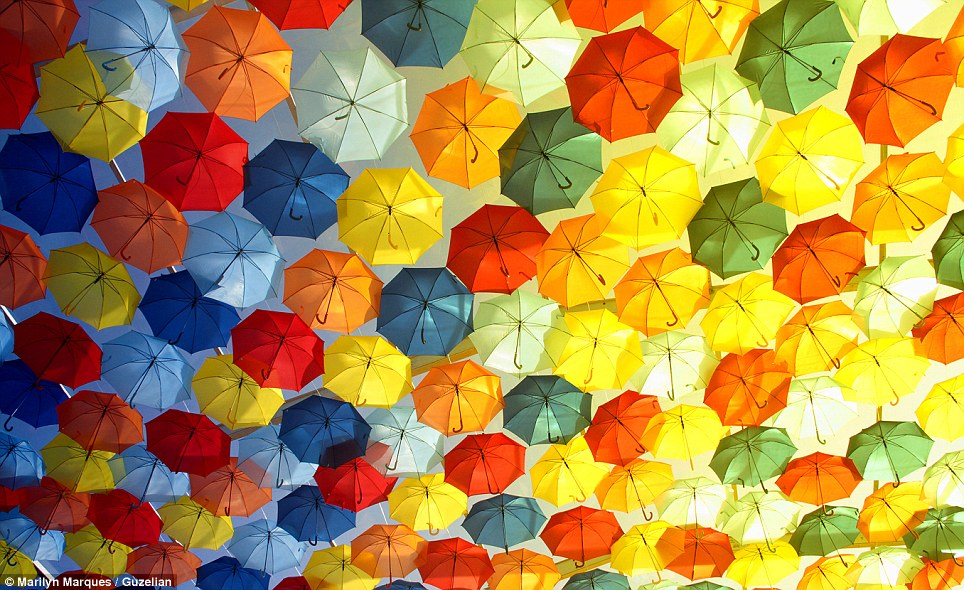 Civismo e solidarietà: vera forza dell’Emilia, e dell’Italia