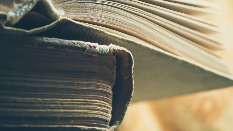 ROBERTO DALL’OLIO : IL VALORE DEI LIBRI