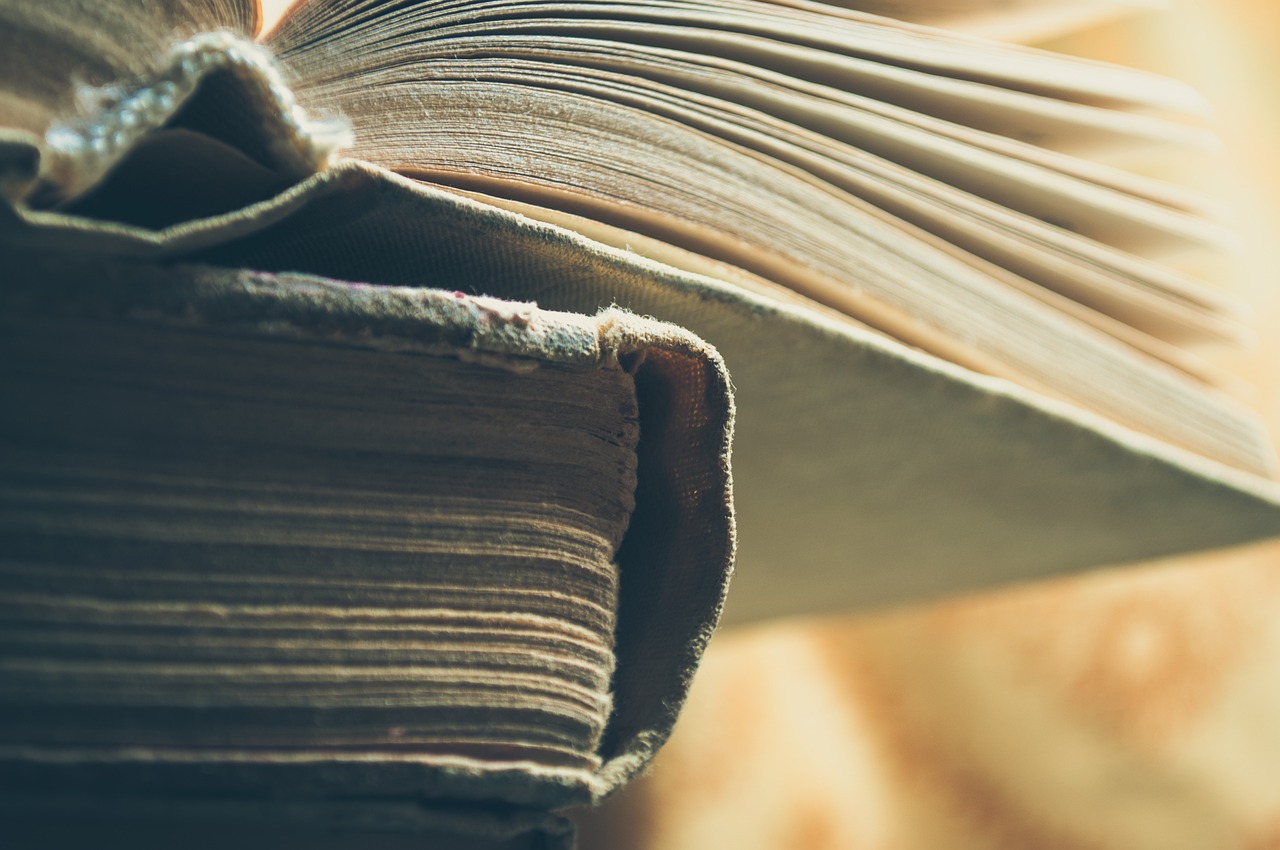 ROBERTO DALL’OLIO : IL VALORE DEI LIBRI